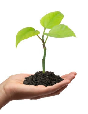 exp-greenplant