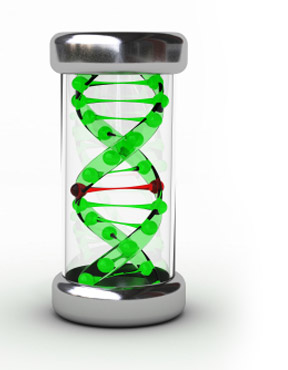 services-stemcell